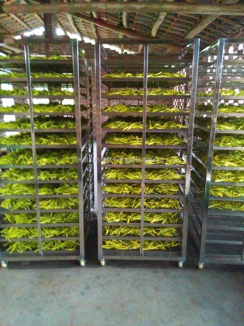 黃花菜烘干機(jī)、黃花菜烘干設(shè)備、黃花菜干燥機(jī)、黃花菜干燥設(shè)備、